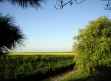 Kents Farm Caravan Site - Places to Visit, Stay & Eat on Weekend Breaks