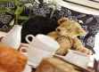 Glendon Guest House - Places to Visit, Stay & Eat on Weekend Breaks