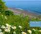 OAK BEE BED AND BREAKFAST - Places to Visit, Stay & Eat on Weekend Breaks
